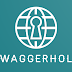 swaggerHole - A Python3 Script Searching For Secret On Swaggerhub