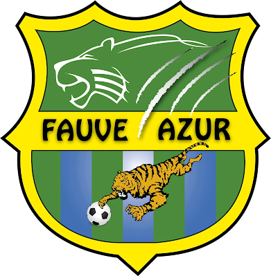 FAUVE AZUR ELITE FOOTBALL CLUB