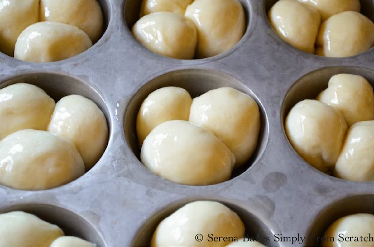 Cloverleaf dough balls shaped in a muffin tin risen and brushed with butter.