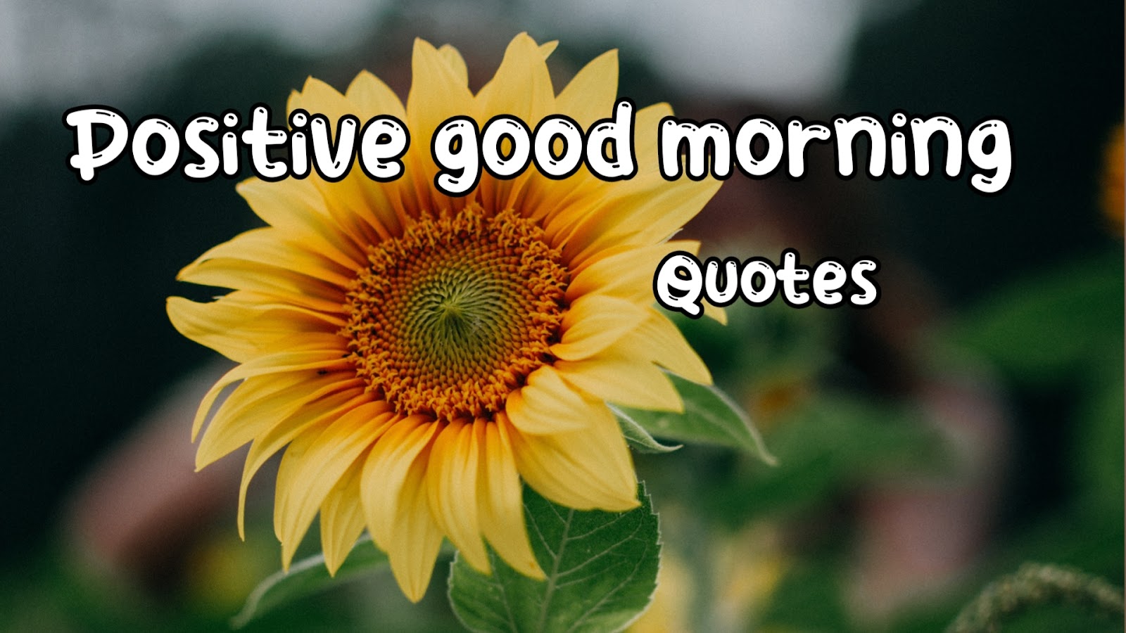 120 Positive good morning quotes, messages, wishes