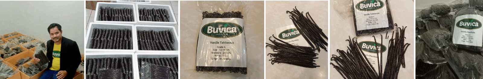 Buvica  : Vanilla Indonesia High Quality Premium Spices