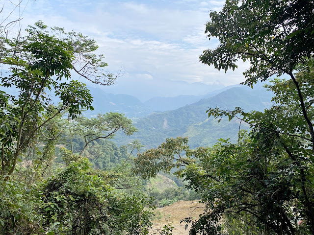 西白毛山下山