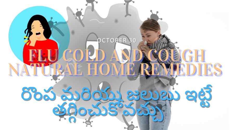 Flu-Cold(రొంప)-and-Cough-Natural-Home-Remedies-In-Telugu