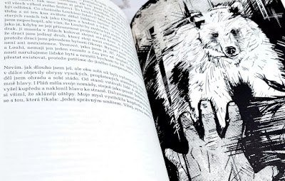 Valgir (Milada Střítezská, ilustrace Daniela Dahlien Neumanová, nakladatelství Ilusie Publishing), fantasy