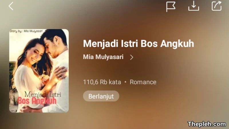 Novel Menjadi Istri Bos Angkuh