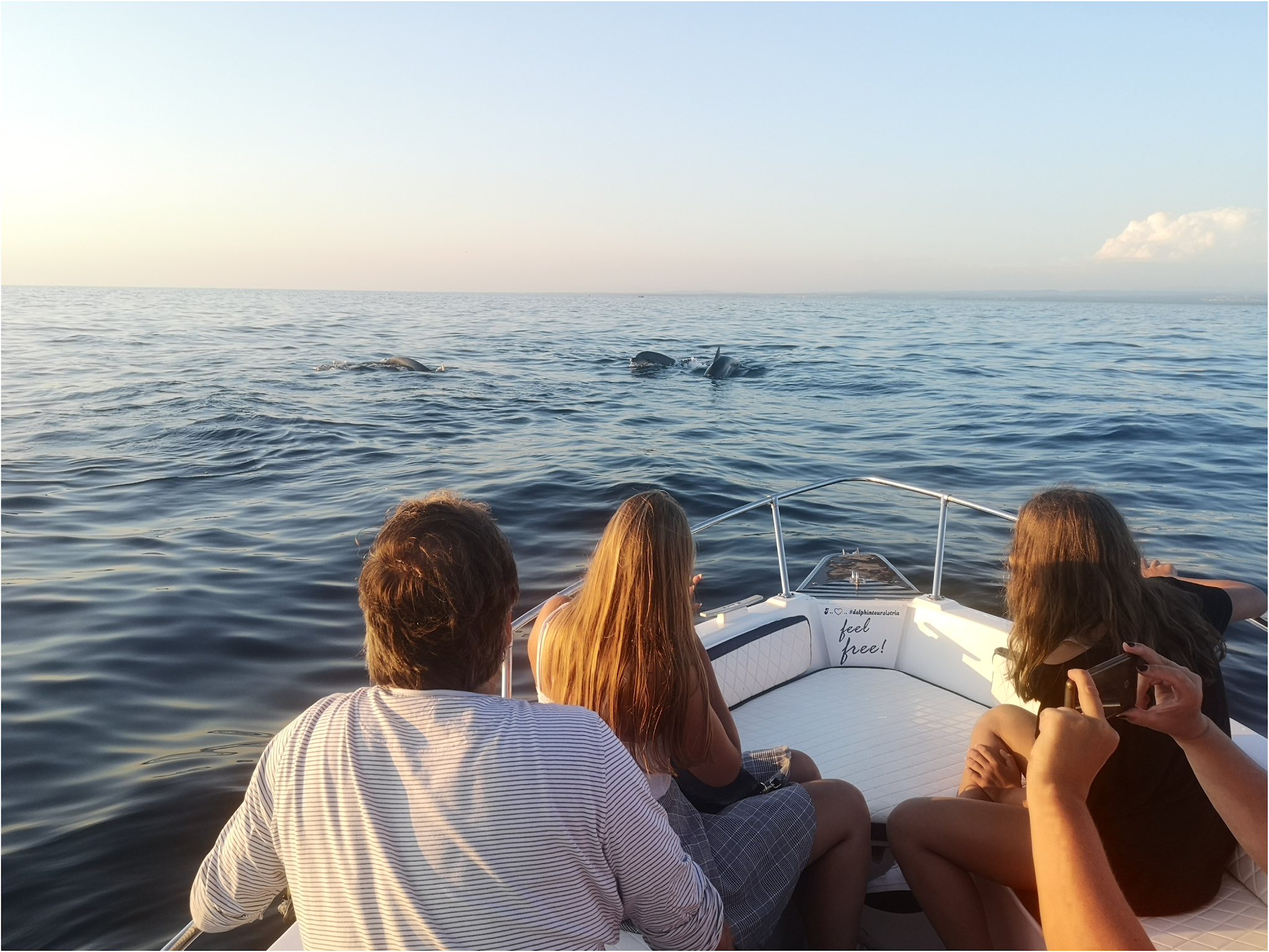 Sunset & Dolphins boat in Istria | Private & Shared boat tours Istria!