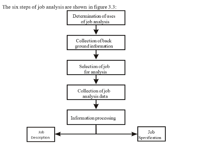 What are the Steps in Job Analysis