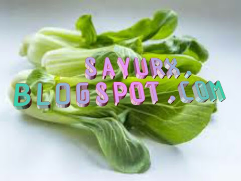 sayurx.blogspot. com