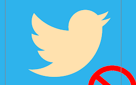 Tweets Against Vaccine and Twitter Suspends | Marjorie Taylor  Green's Account.