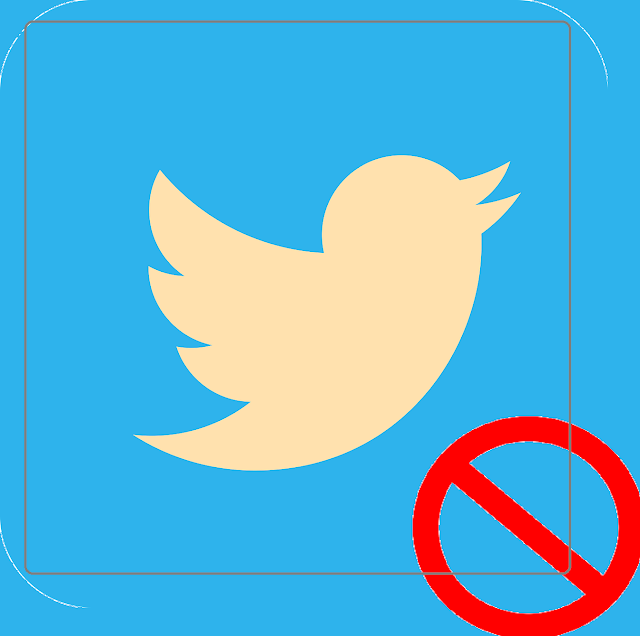 Tweets Against Vaccine and Twitter Suspends | Marjorie Taylor  Green's Account