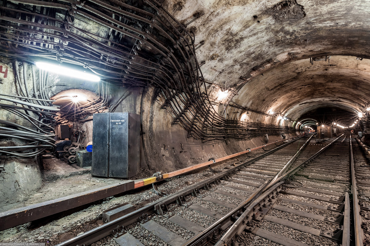 بعوض لندن تحت الأرض: لقد ولّد مترو الأنفاق نوعًا جديدًا من البعوض. يفترس الركاب ويتصرف بغرابة
