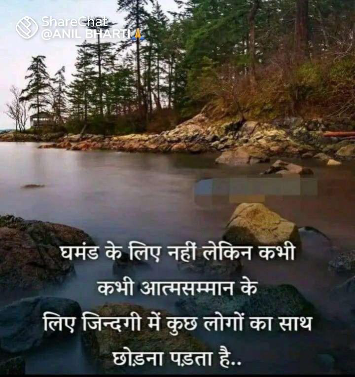 चित्र