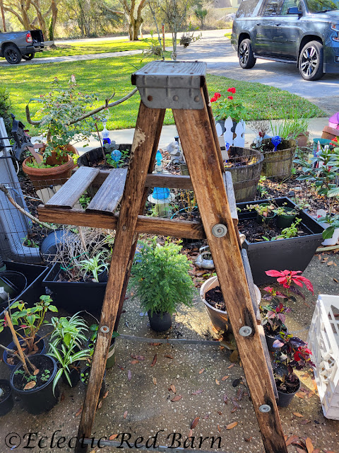 Ladder Plant Stand. Share NOW. #oldladder #plantstand #gardening #eclecticredbarn