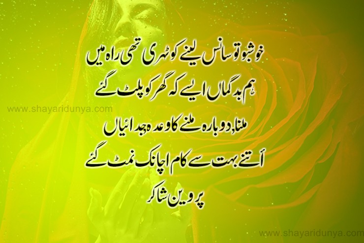 Top 20 khushboo poetry in urdu |  khushboo shayari 2 lines | khushboo quotes