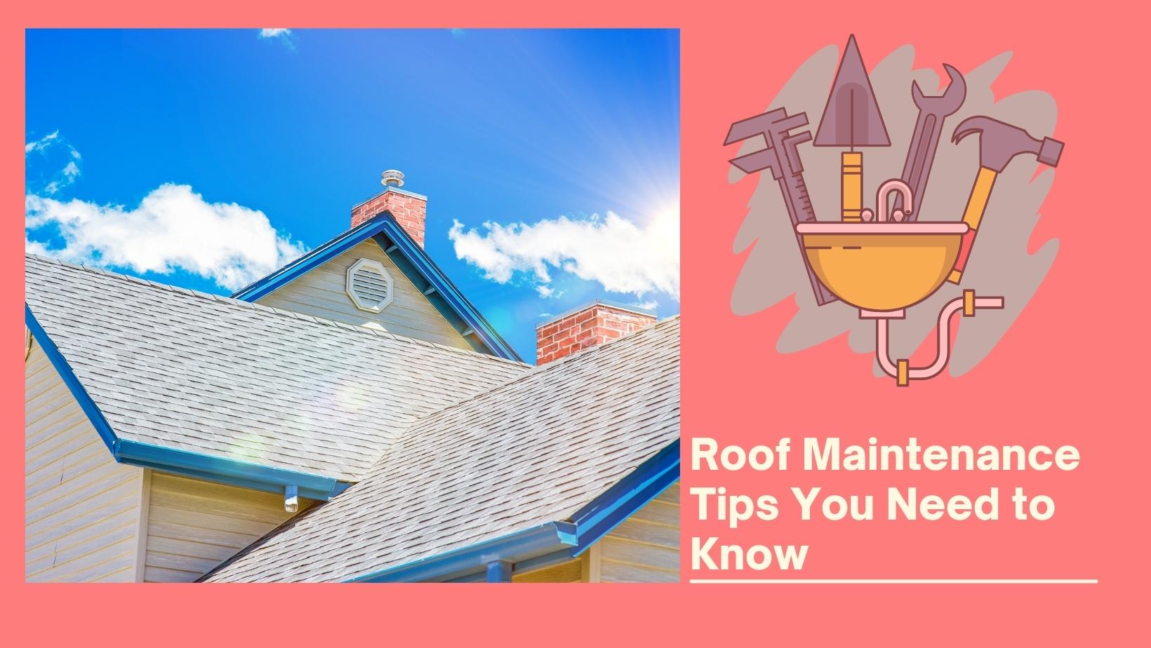 Roof Maintenance Tips You Need to Know
