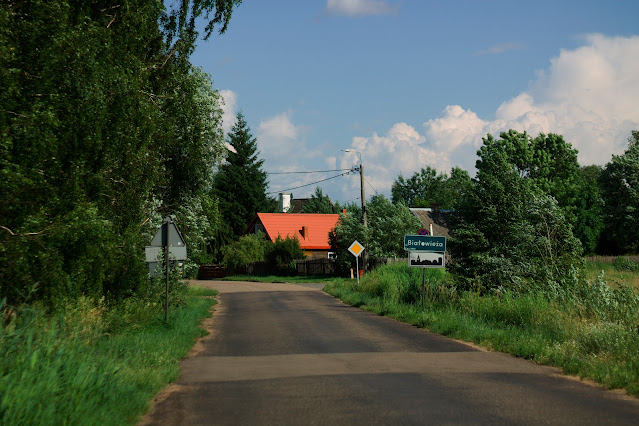 Белавежская пушча, польская частка