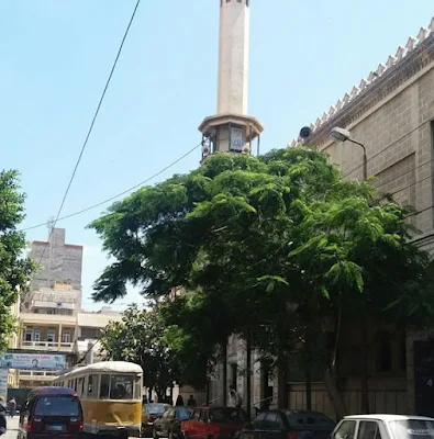 رقم وعنوان «مسجد العمري» في الاسكندرية