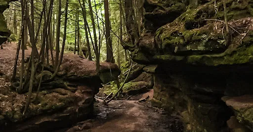 Trail Banner