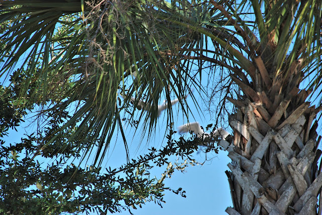 Riverfront Park, Palatka