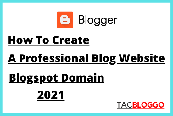 How To Create A Professional Blog Website For Free On Blogspot Domain In 2021?