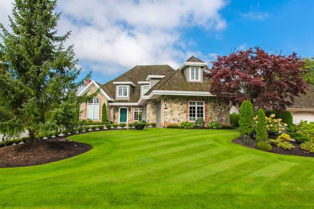 There's an interesting story behind how lawns become a status symbol