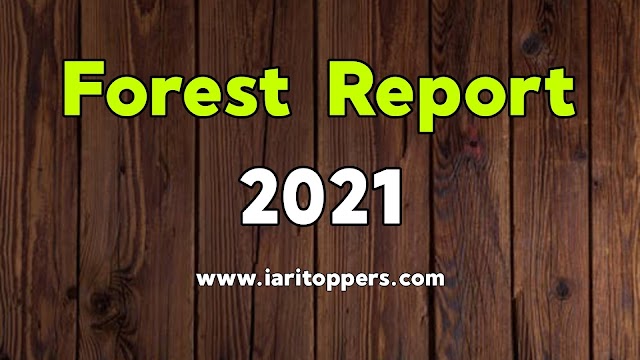 Forest Report 2021 PDF
