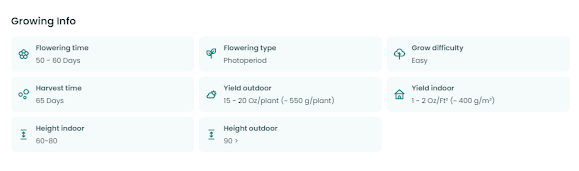 Northern Lights Growing Tips