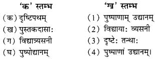 Solutions Class 9 संस्कृत Chapter-6 (भ्रान्तो बालः)