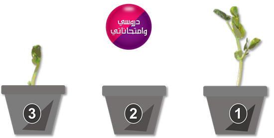 البذرة غير السليمة لا تنبت