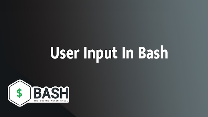 User Input In Bash