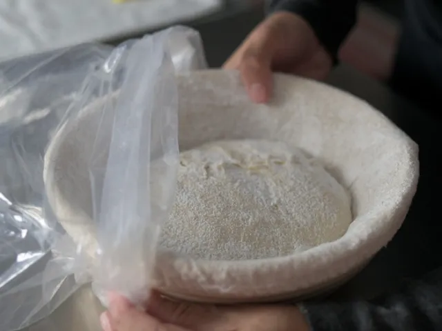 Place dough in a food grade plastic bag, seal or tie the open end.