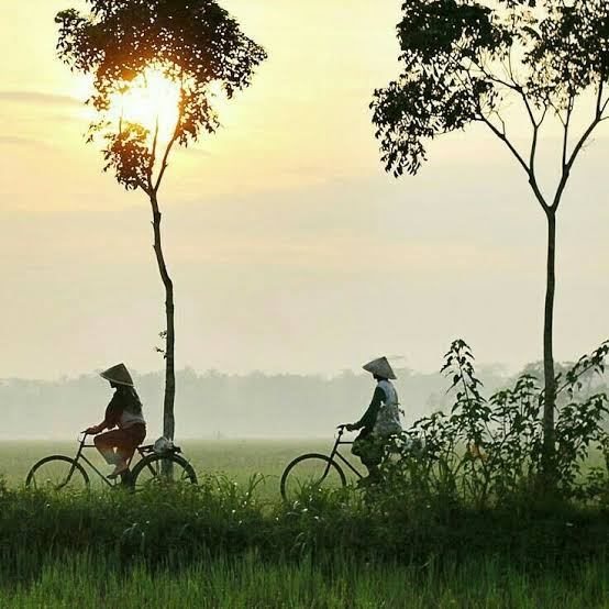 Gambar