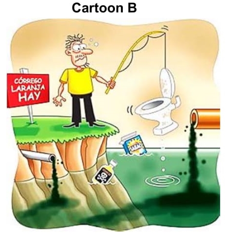 Cartoon B
