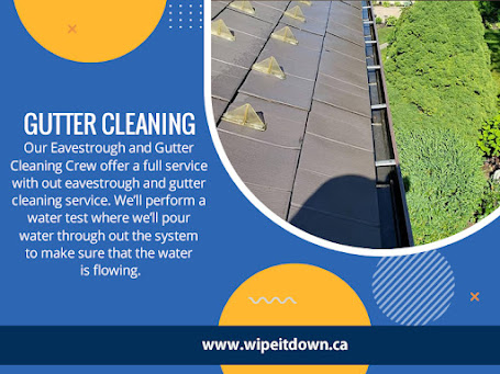 Gutter Cleaning