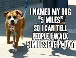 25 funny WhatsApp jokes and videos, and you will have a good laugh!