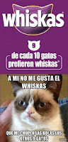 meme humor whiskas