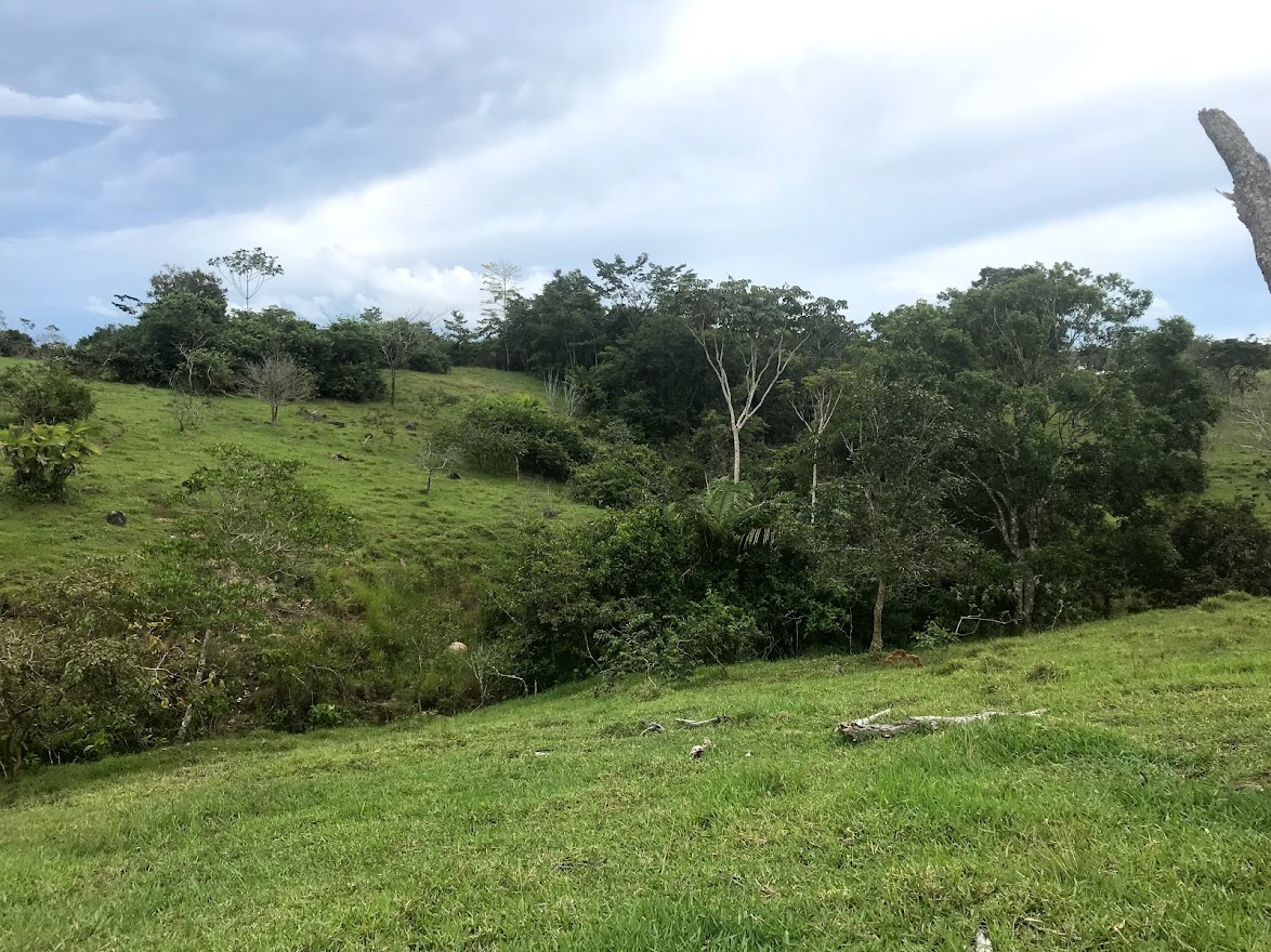 Colorado do Oeste | Rondônia