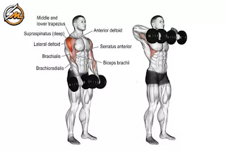 Top 6 Exercises For Tremendous Traps