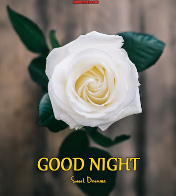 Good Night Images With Red Rose Flower