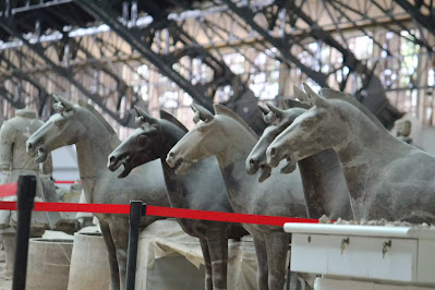 Los caballos de terracota además ocupan una gigantesca proporción de espacio en las 3 fosas, llegan a unos 600 y poseen diferentes usos