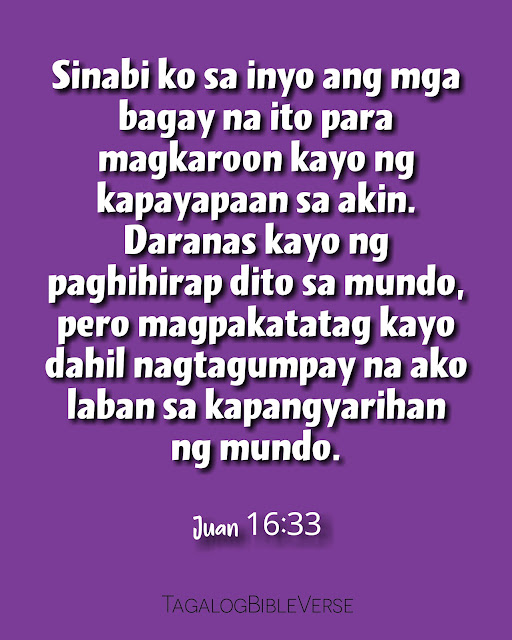 Juan 16:33