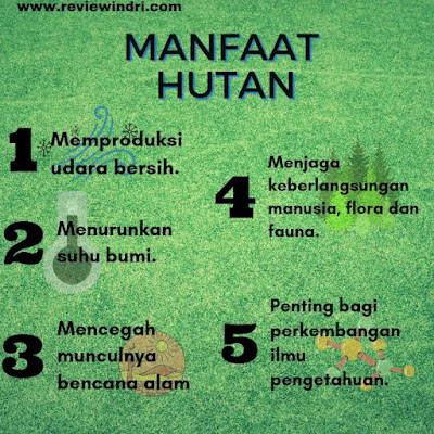 manfaat hutan