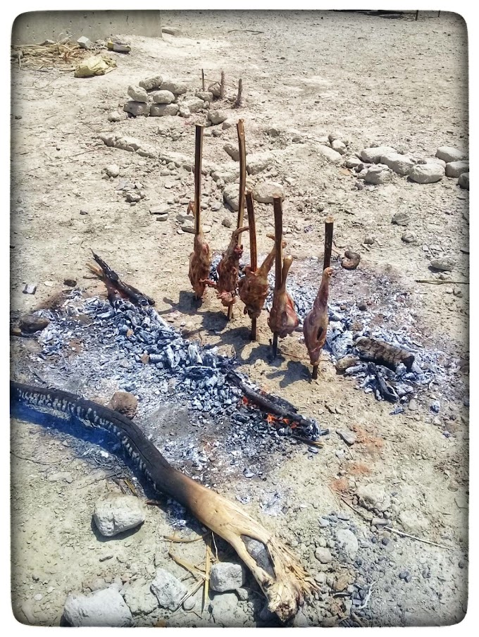 سجیگ : كباب حراره