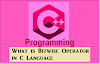 What is Bitwise Operator in C Language