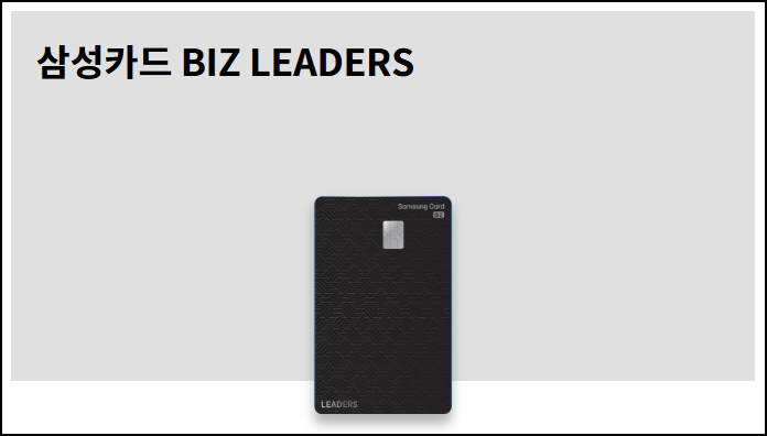 삼성카드 BIZ LEADERS 카드 알아보기