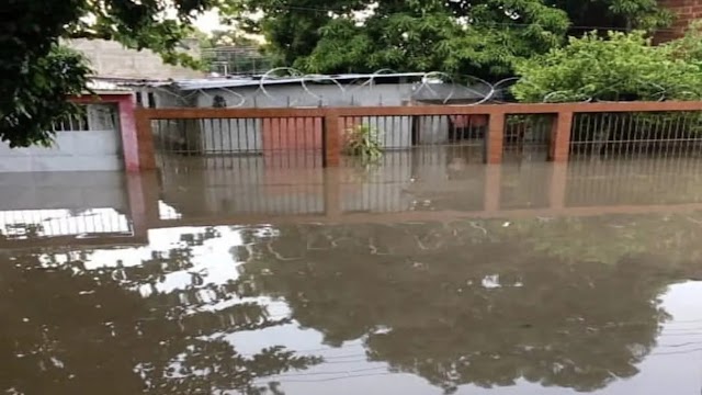 Ciclón provoca inundaciones y caída de árboles en municipios Brión y Carrizal del estado Miranda