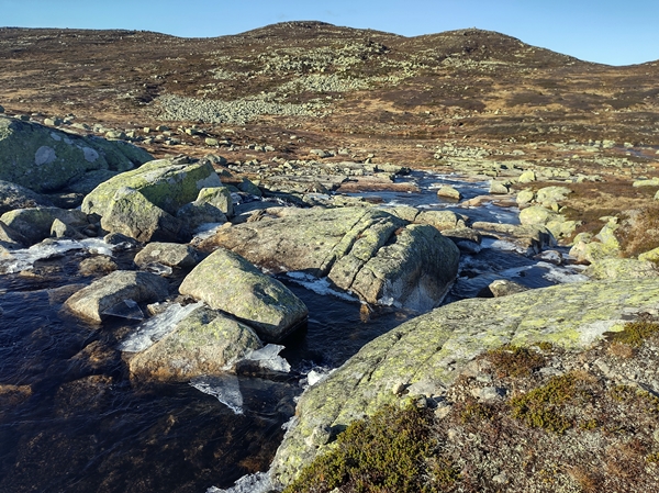 Sørbølfjellet