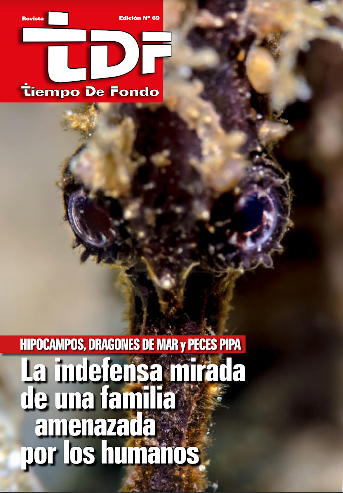 Signátidos en Peligro - Revista TDF