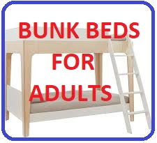 Bunk Bed Best For Adults