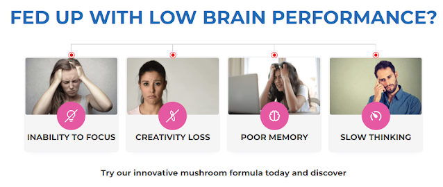 Lion's Mane Gummies Reviews – Organic Brain Booster Capsules To Get Sharp Mind Now!